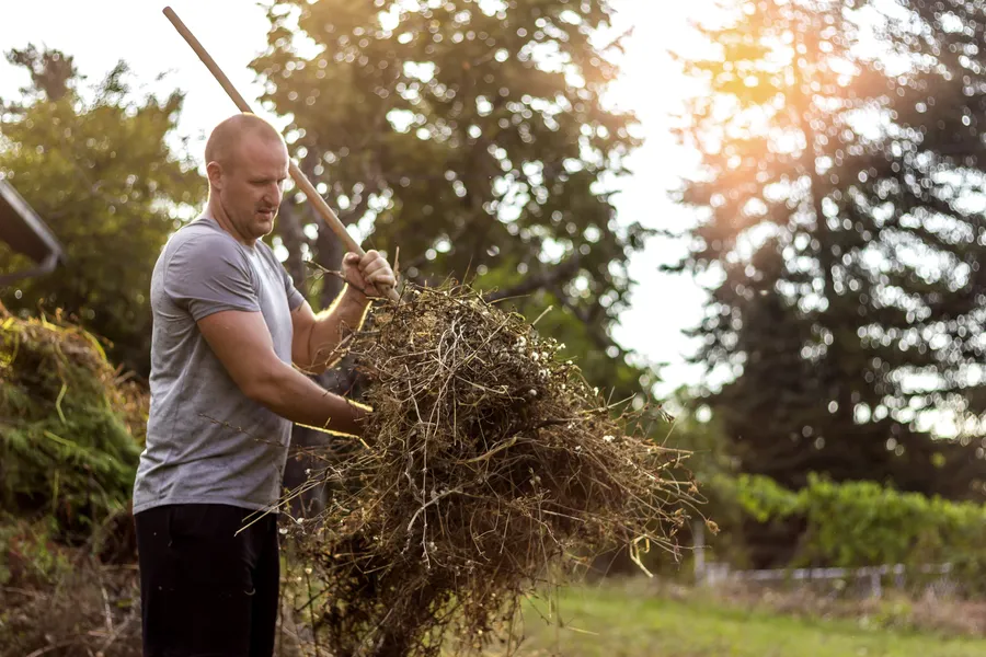 Seasonal Yard Waste Removal Tips For Homeowners in Campbell, CA