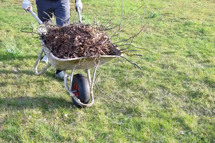 Yard Waste Removal Solutions For Large Properties in Campbell, CA