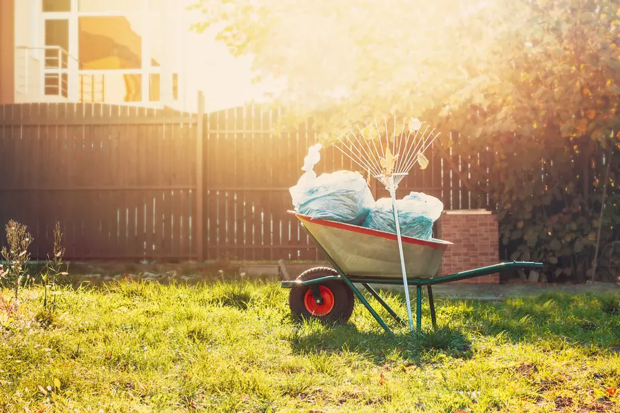 Yard Waste Removal Solutions For Large Properties in Campbell, CA